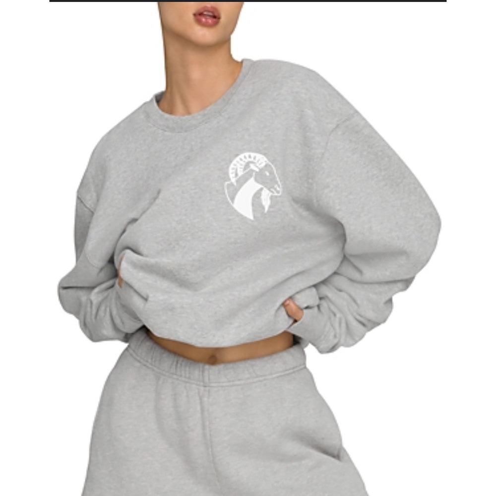 Good American Capricorn Zodiac Gray Crew Neck Cropped Sweatshirt Womens EUC